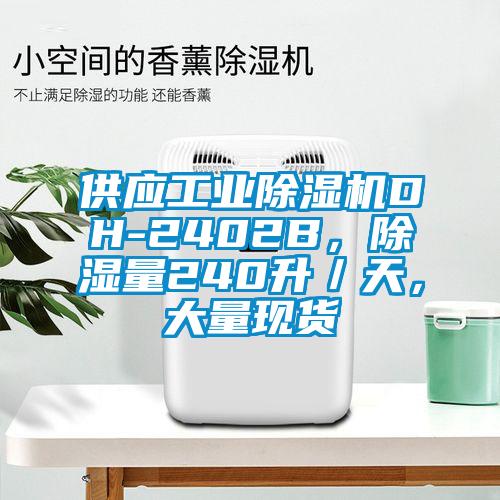 供應工業除濕機DH-2402B，除濕量240升／天，大量現貨