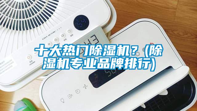 十大熱門除濕機？(除濕機專業品牌排行)