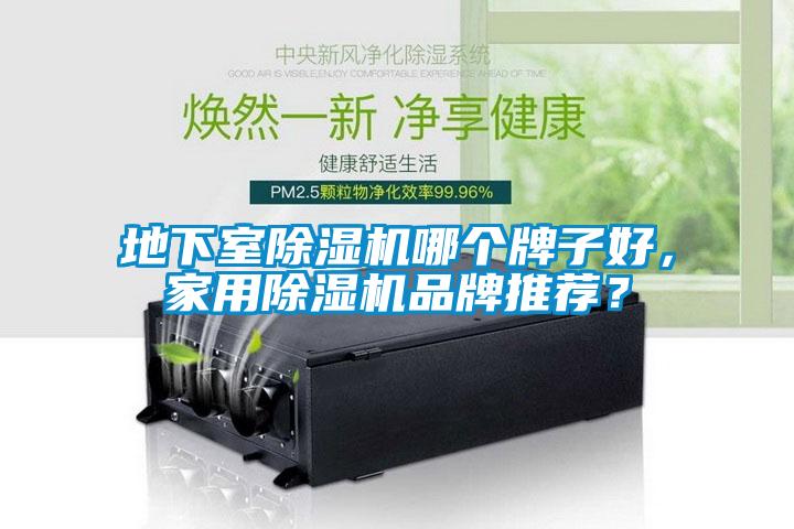 地下室除濕機哪個牌子好，家用除濕機品牌推薦？