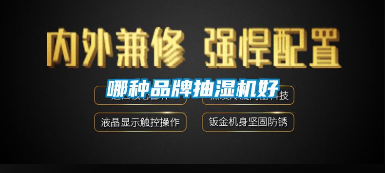 哪種品牌抽濕機(jī)好