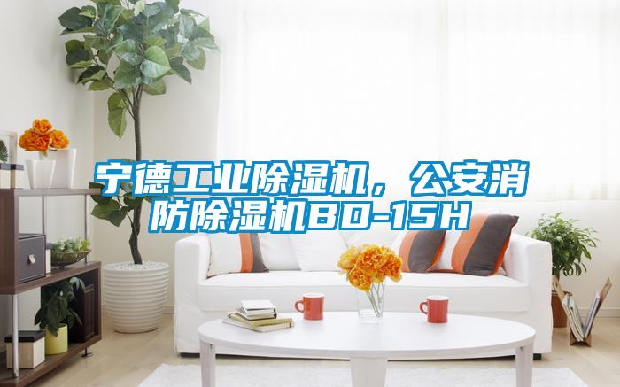 寧德工業(yè)除濕機，公安消防除濕機BD-15H