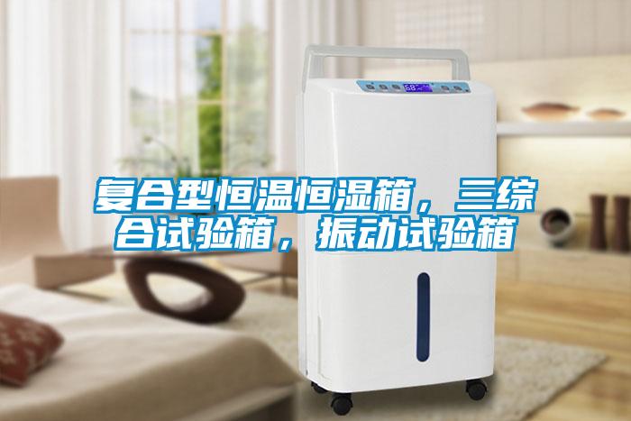 復合型恒溫恒濕箱，三綜合試驗箱，振動試驗箱