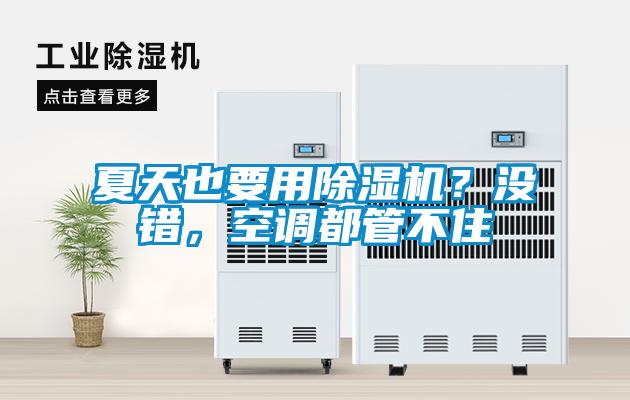 夏天也要用除濕機(jī)？沒錯(cuò)，空調(diào)都管不住
