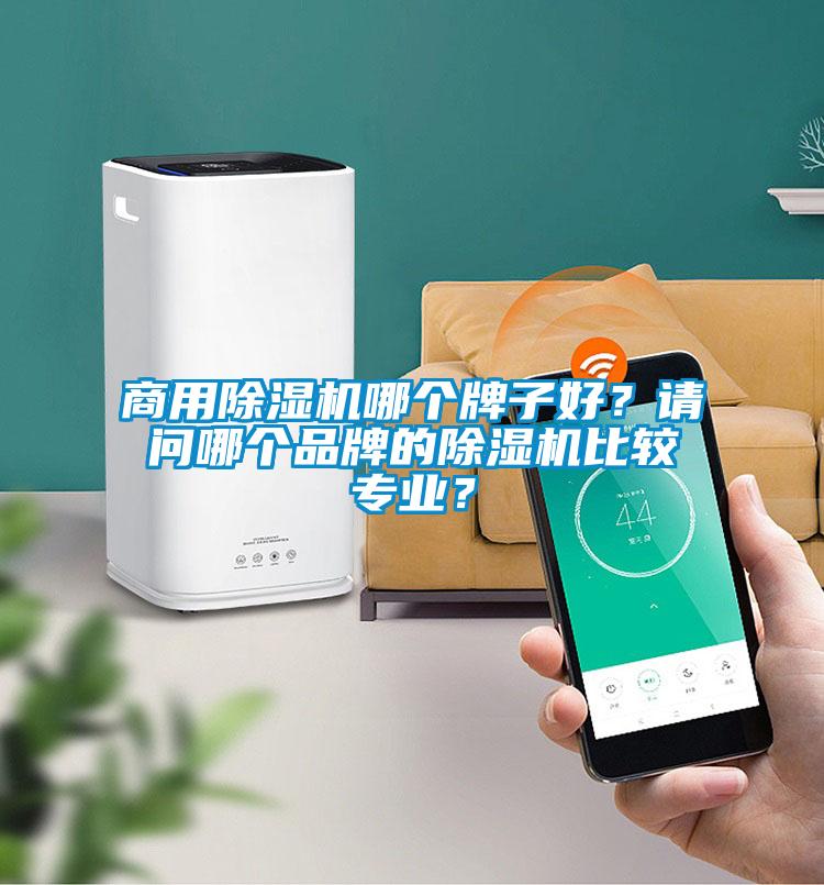 商用除濕機哪個牌子好？請問哪個品牌的除濕機比較專業(yè)？