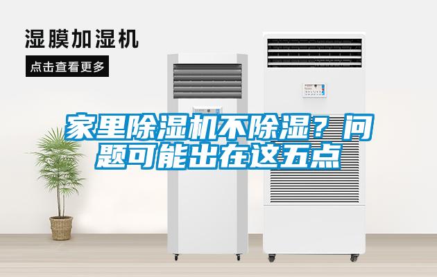 家里除濕機不除濕？問題可能出在這五點