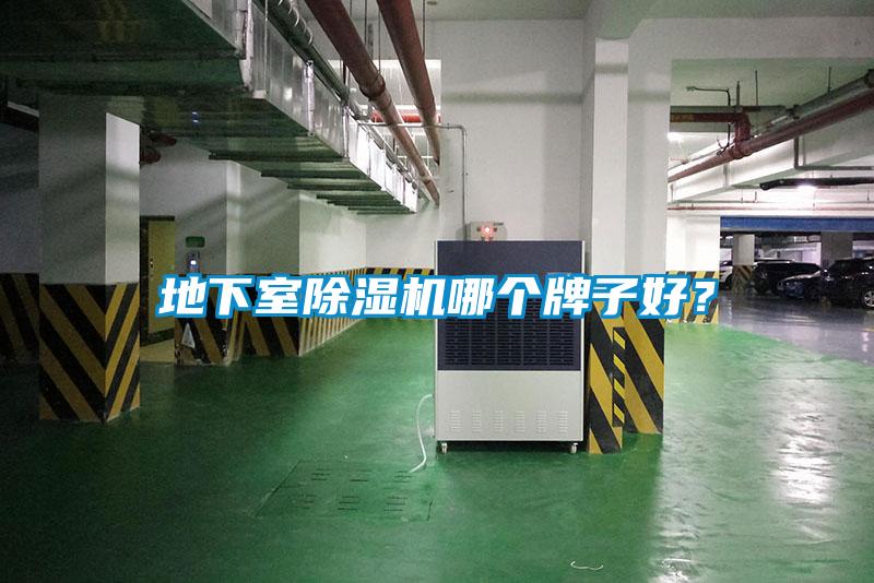 地下室除濕機哪個牌子好？