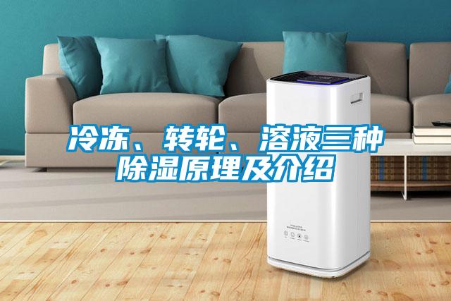 冷凍、轉(zhuǎn)輪、溶液三種除濕原理及介紹