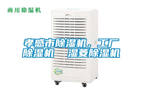 孝感市除濕機，工廠除濕機  濕菱除濕機