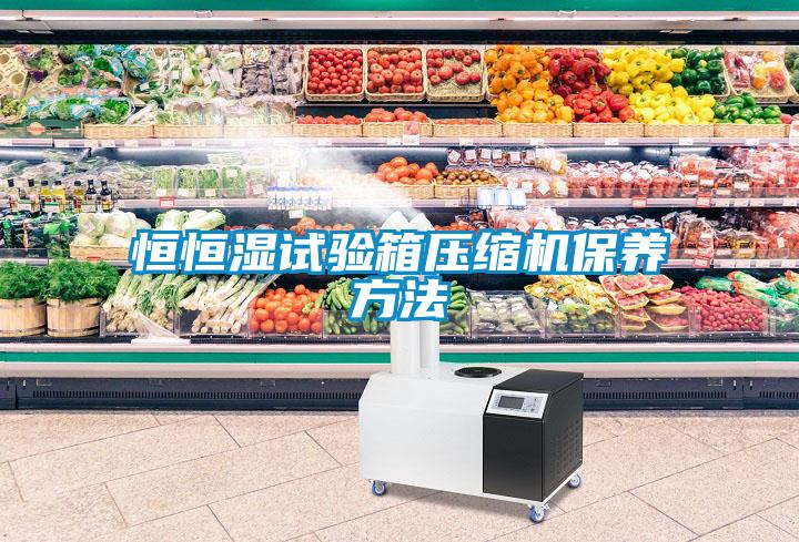 恒恒濕試驗箱壓縮機(jī)保養(yǎng)方法