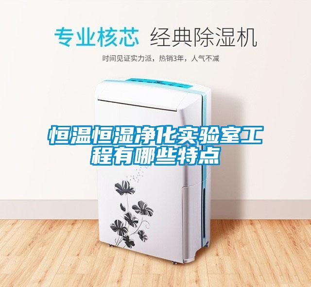 恒溫恒濕凈化實驗室工程有哪些特點(diǎn)