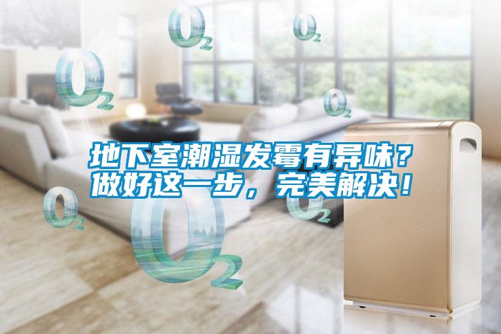 地下室潮濕發霉有異味？做好這一步，完美解決！