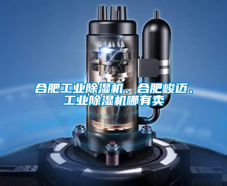合肥工業(yè)除濕機、合肥峻邁、工業(yè)除濕機哪有賣