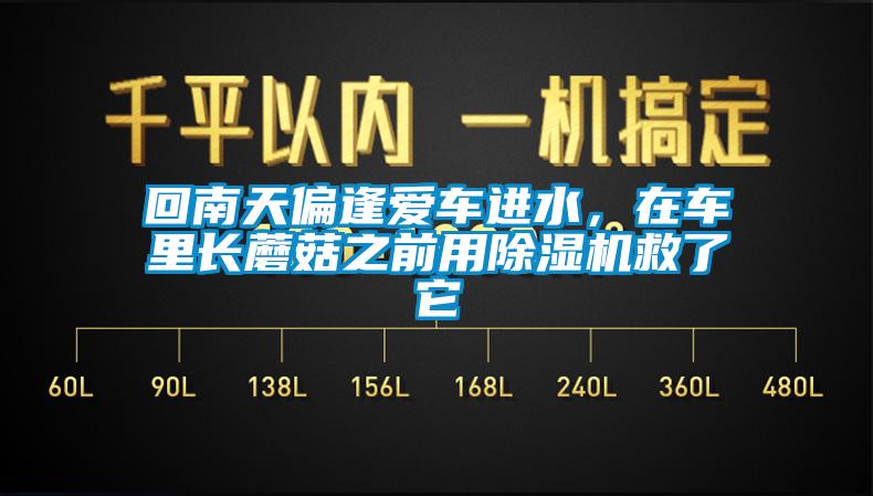 回南天偏逢愛(ài)車進(jìn)水，在車?yán)镩L(zhǎng)蘑菇之前用除濕機(jī)救了它