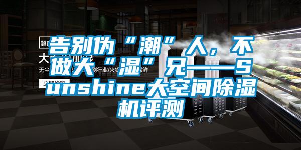 告別偽“潮”人，不做大“濕”兄——Sunshine大空間除濕機(jī)評(píng)測(cè)