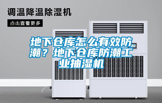 地下倉庫怎么有效防潮？地下倉庫防潮工業抽濕機