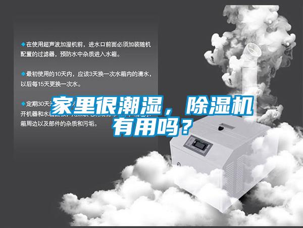 家里很潮濕，除濕機(jī)有用嗎？
