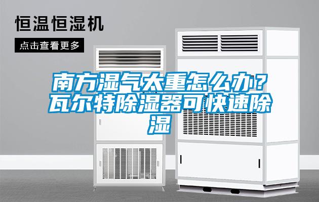 南方濕氣太重怎么辦？瓦爾特除濕器可快速除濕