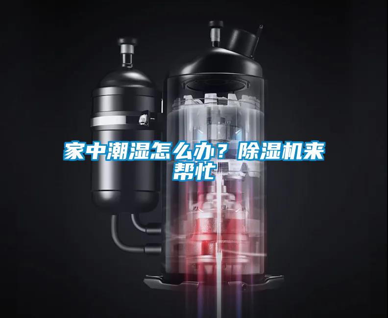 家中潮濕怎么辦？除濕機來幫忙