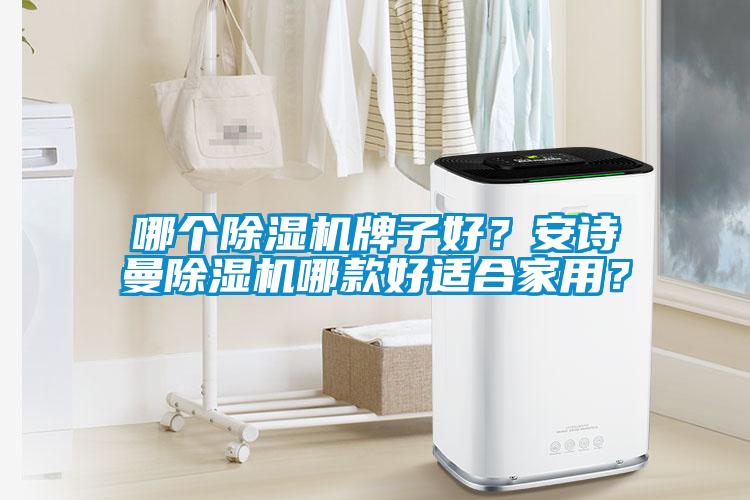 哪個除濕機牌子好？安詩曼除濕機哪款好適合家用？