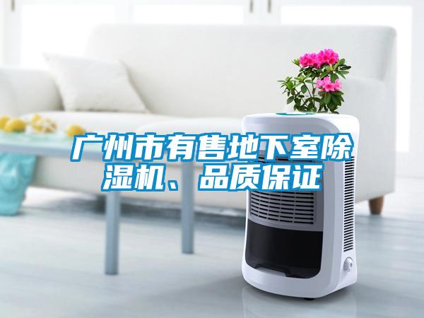 廣州市有售地下室除濕機、品質保證