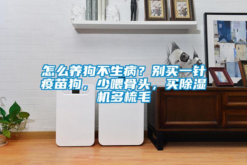 怎么養(yǎng)狗不生病？別買一針疫苗狗，少喂骨頭，買除濕機(jī)多梳毛