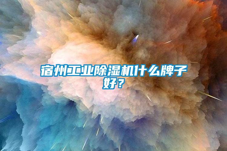 宿州工業除濕機什么牌子好？