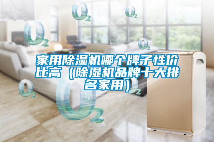 家用除濕機(jī)哪個(gè)牌子性?xún)r(jià)比高（除濕機(jī)品牌十大排名家用）