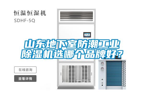 山東地下室防潮工業除濕機選哪個品牌好？