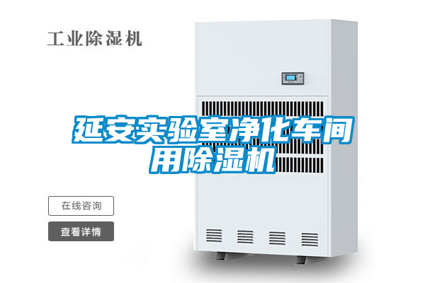 延安實驗室凈化車間用除濕機