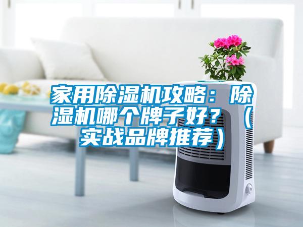 家用除濕機攻略：除濕機哪個牌子好？（實戰品牌推薦）