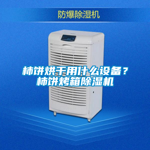 柿餅烘干用什么設(shè)備？柿餅烤箱除濕機(jī)