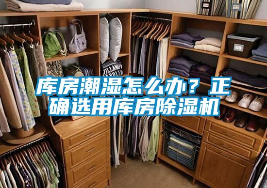 庫房潮濕怎么辦？正確選用庫房除濕機