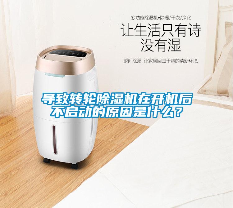 導致轉(zhuǎn)輪除濕機在開機后不啟動的原因是什么？
