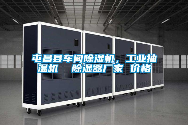 屯昌縣車間除濕機，工業(yè)抽濕機  除濕器廠家 價格