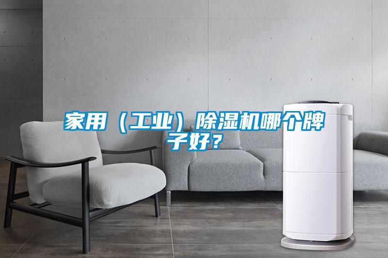 家用（工業(yè)）除濕機哪個牌子好？