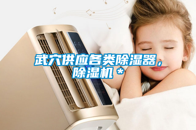 武穴供應各類除濕器，除濕機＊