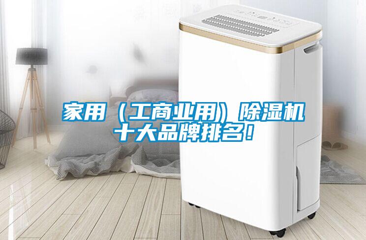 家用（工商業(yè)用）除濕機十大品牌排名！