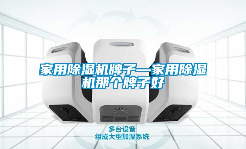 家用除濕機(jī)牌子—家用除濕機(jī)那個牌子好