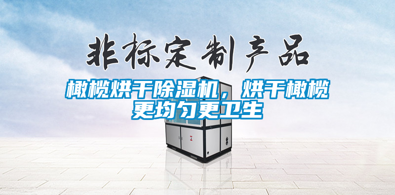 橄欖烘干除濕機(jī)，烘干橄欖更均勻更衛(wèi)生