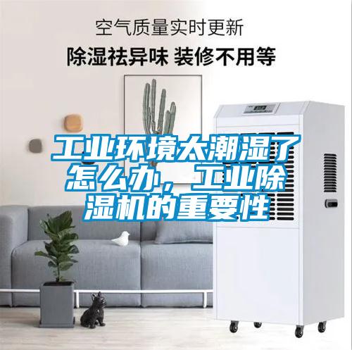 工業(yè)環(huán)境太潮濕了怎么辦，工業(yè)除濕機(jī)的重要性