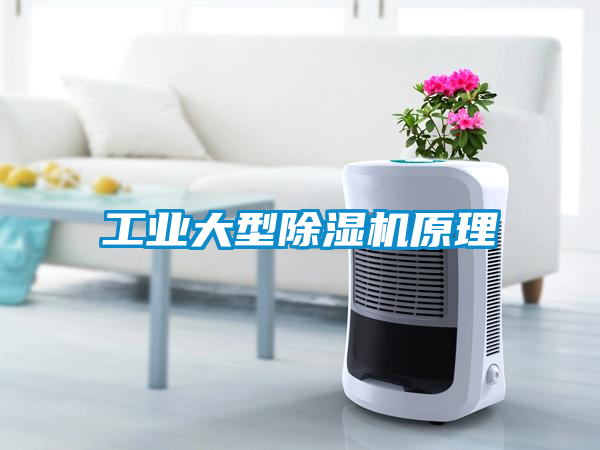 工業大型除濕機原理