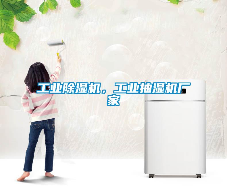 工業(yè)除濕機，工業(yè)抽濕機廠家