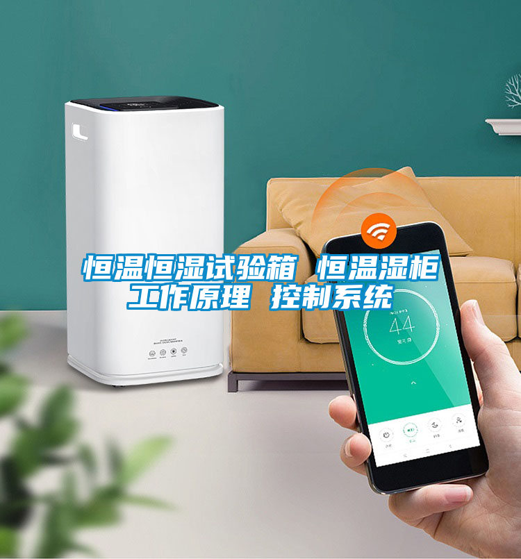 恒溫恒濕試驗箱 恒溫濕柜工作原理 控制系統