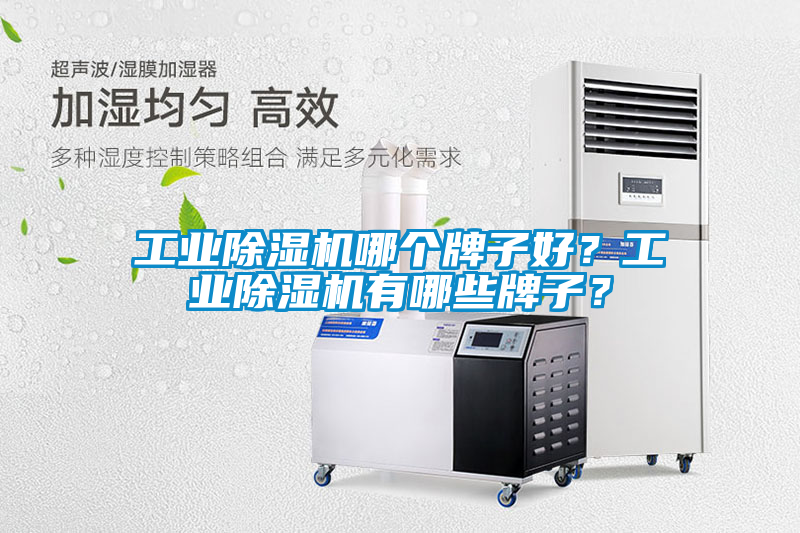 工業(yè)除濕機(jī)哪個(gè)牌子好？工業(yè)除濕機(jī)有哪些牌子？