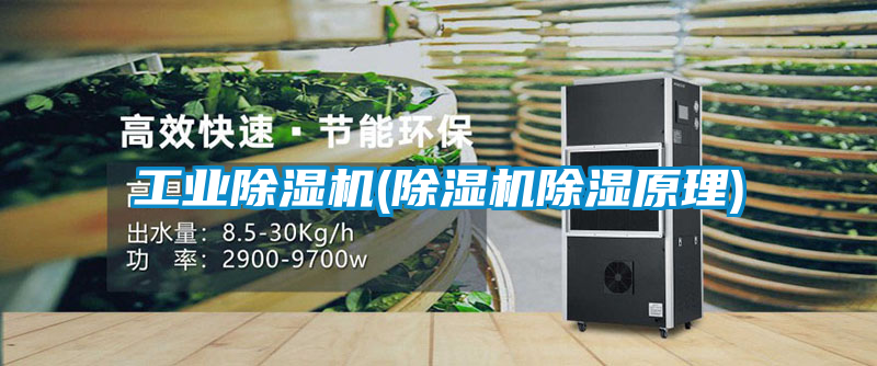工業除濕機(除濕機除濕原理)