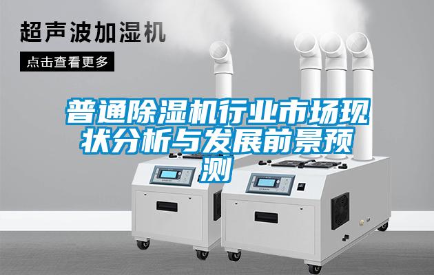 普通除濕機行業市場現狀分析與發展前景預測