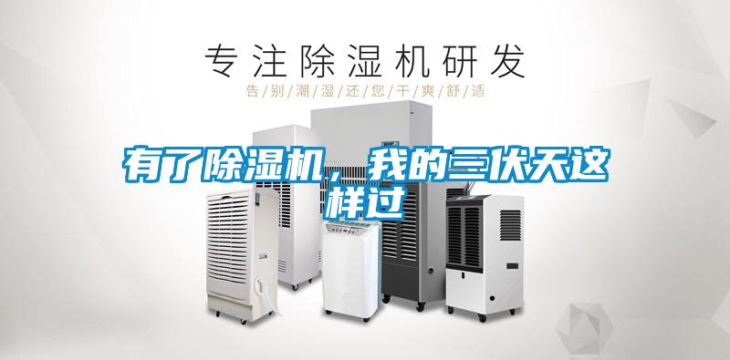 有了除濕機，我的三伏天這樣過