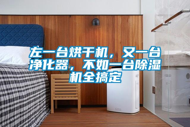 左一臺烘干機，又一臺凈化器，不如一臺除濕機全搞定