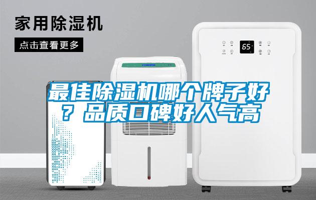 最佳除濕機哪個牌子好？品質口碑好人氣高