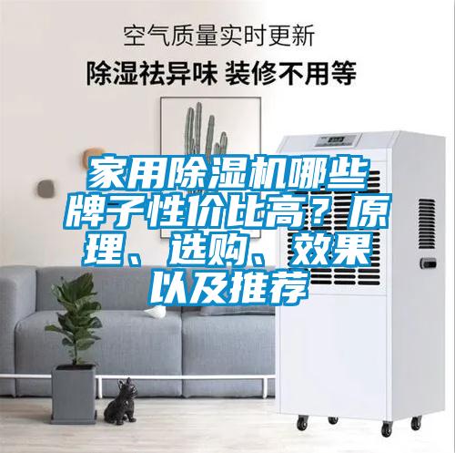 家用除濕機(jī)哪些牌子性價(jià)比高？原理、選購、效果以及推薦